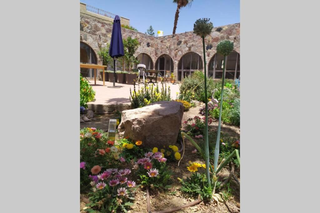Eilat Stone - Patio אבן אילת - פטיו Apartment Exterior photo