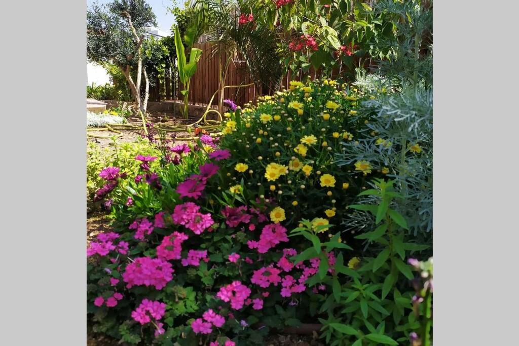 Eilat Stone - Patio אבן אילת - פטיו Apartment Exterior photo